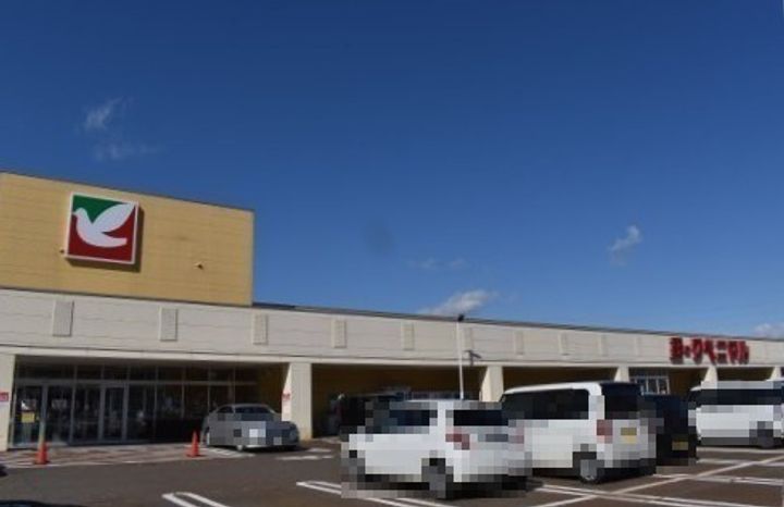 メゾンアルパIIの周辺