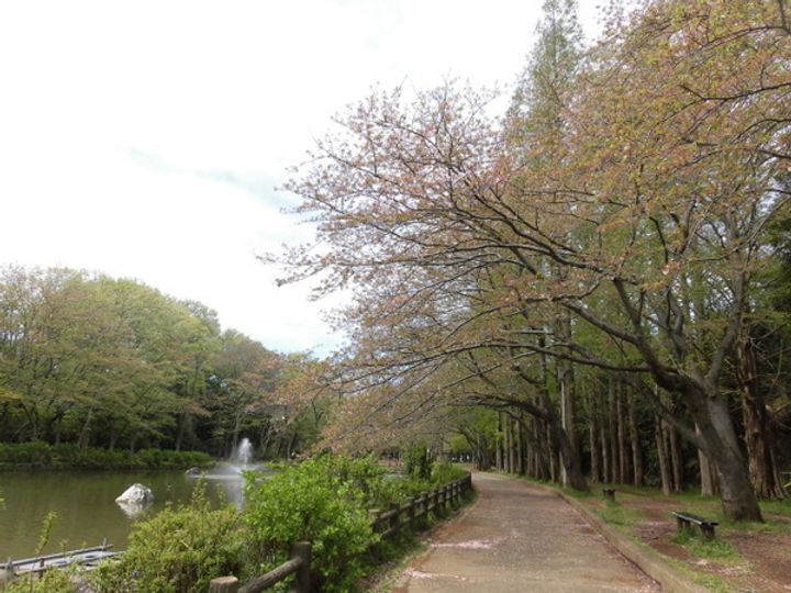 ウインドヒル鎌ヶ谷の周辺