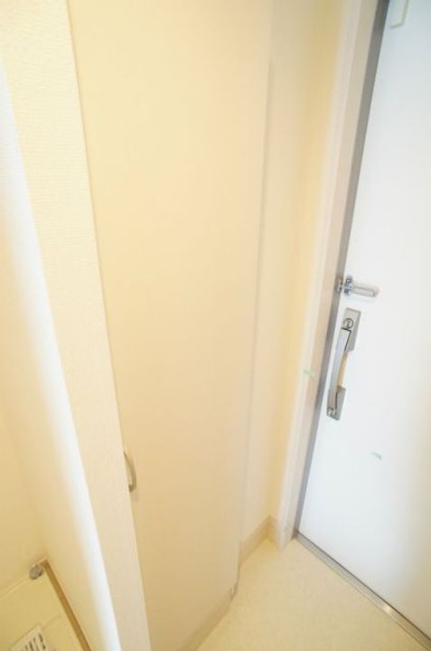 埼玉県八潮市大瀬4(マンション)の賃貸物件の玄関