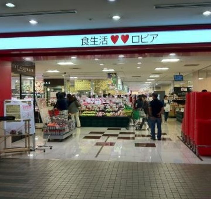 神奈川県横浜市都筑区折本町(マンション)の賃貸物件の周辺