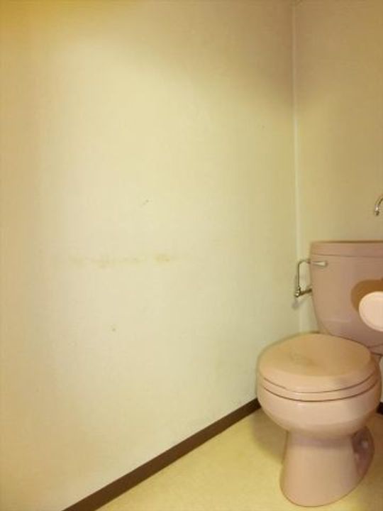 福岡県久留米市東合川4(アパート)の賃貸物件の内装