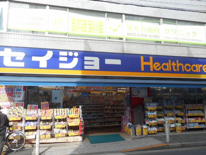 東京都世田谷区等々力2(マンション)の賃貸物件の周辺