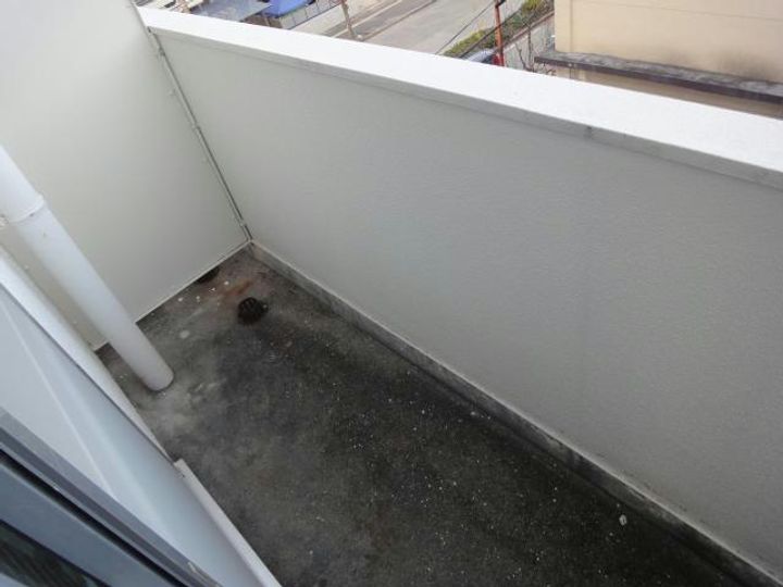 山口県岩国市元町2(アパート)の賃貸物件の内装