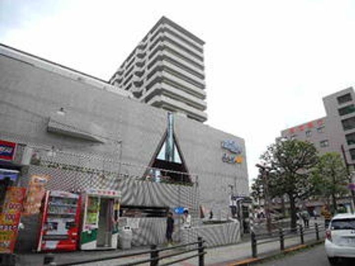 シティハウス中園の周辺