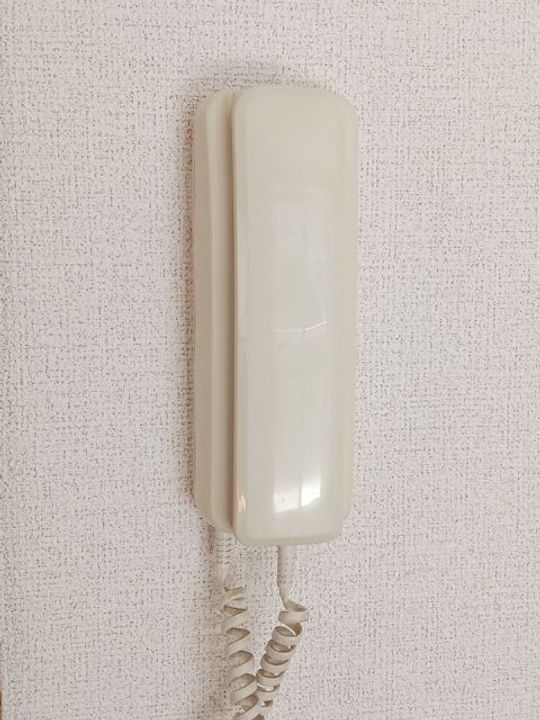 栃木県佐野市奈良渕町(アパート)の賃貸物件の内装