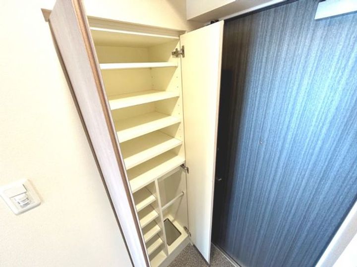 埼玉県三郷市三郷2(マンション)の賃貸物件の玄関