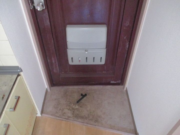 大阪府大阪市住之江区南加賀屋3(マンション)の賃貸物件の玄関