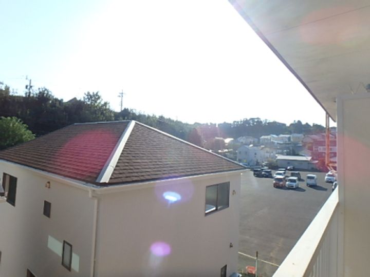 アムールのその他画像