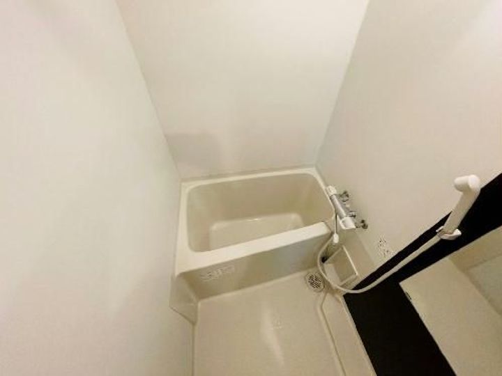 レオネクストミュールのその他画像