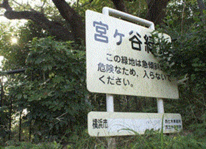 神奈川県横浜市西区宮ケ谷(アパート)の賃貸物件の周辺