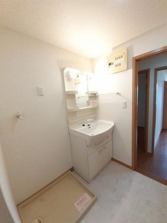 シェーン・バッハの内装