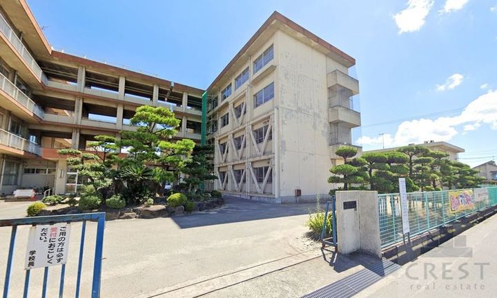 新涯マンションの周辺