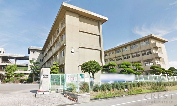 新涯マンションの周辺