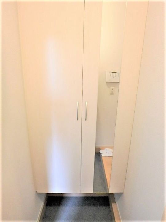 (仮称)D-ROOM橋波東之町 西棟の玄関