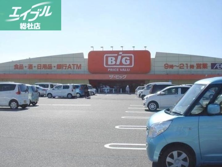 ディモルフォセカ A棟の周辺