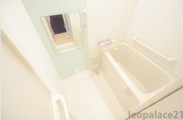 レオネクストブラウニー国立(53804)の風呂