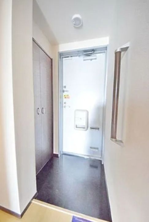 レオネクストブラウニー国立(53804)の玄関