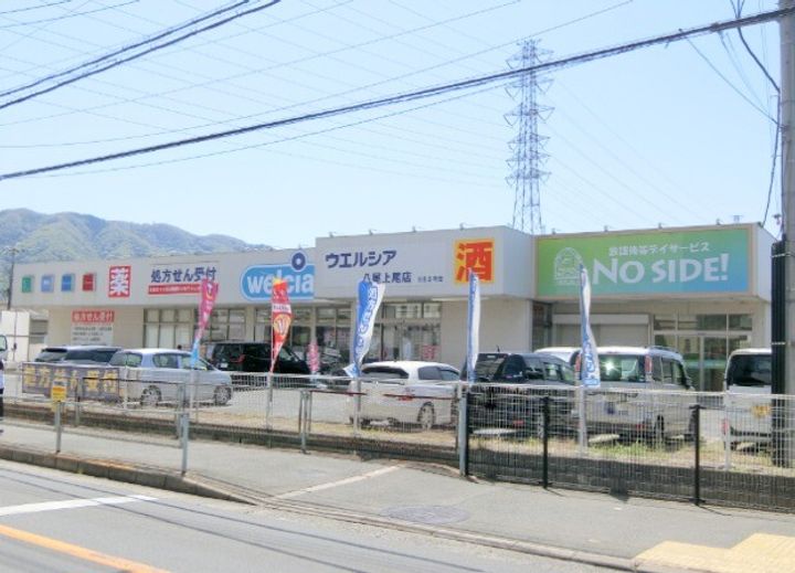 大阪府八尾市上尾町1(一戸建)の賃貸物件の周辺