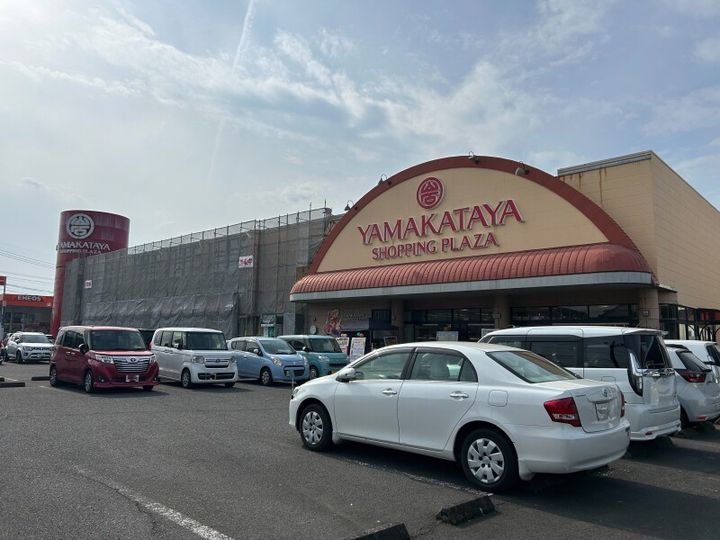 スプリング50の周辺