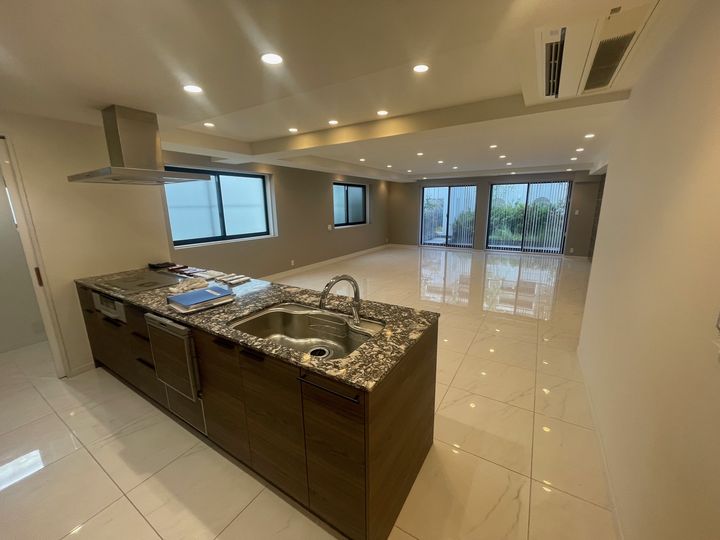 東京都港区元麻布3(マンション)の賃貸物件の居間