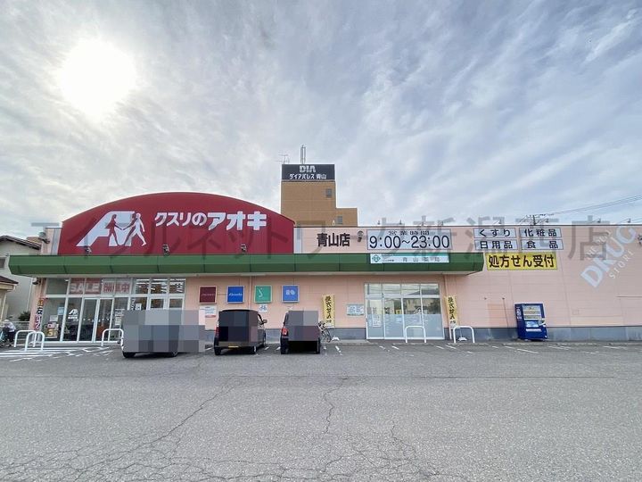 セジュールシャインの周辺