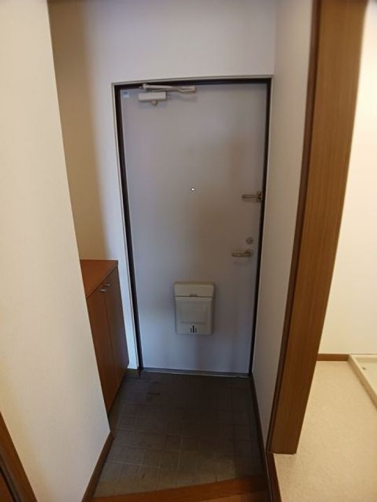群馬県高崎市上中居町(マンション)の賃貸物件の玄関