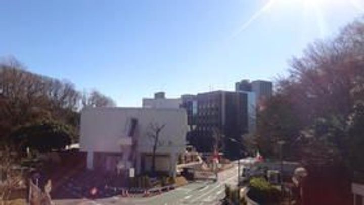 CKすずかけ台の周辺