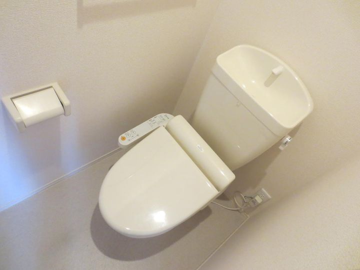 茨城県ひたちなか市大字田彦(アパート)の賃貸物件の内装