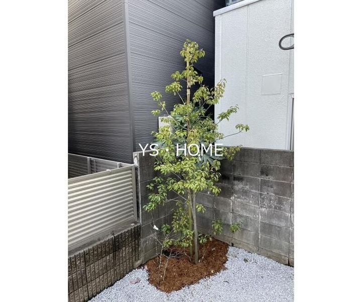 東京都杉並区荻窪1(一戸建)の賃貸物件のその他画像