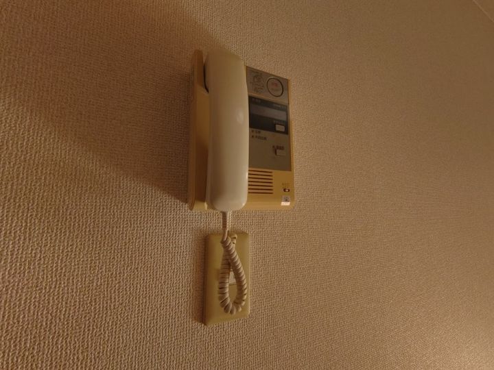 静岡県浜松市中央区野口町(マンション)の賃貸物件の内装