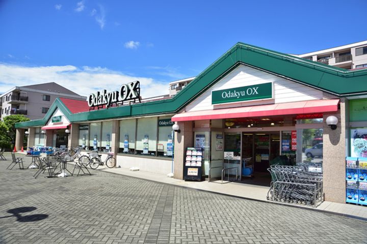 シティホームズ中山の周辺