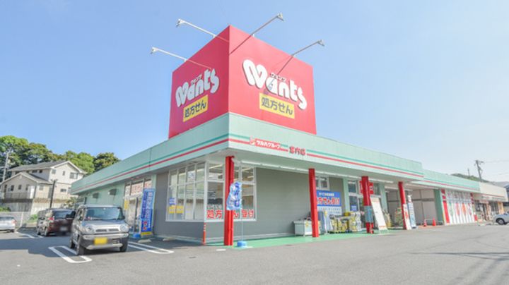 広島県廿日市市宮内(一戸建)の賃貸物件の周辺
