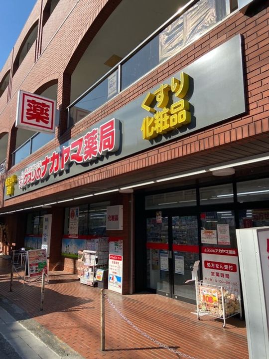 ジョイム向ヶ丘遊園の周辺