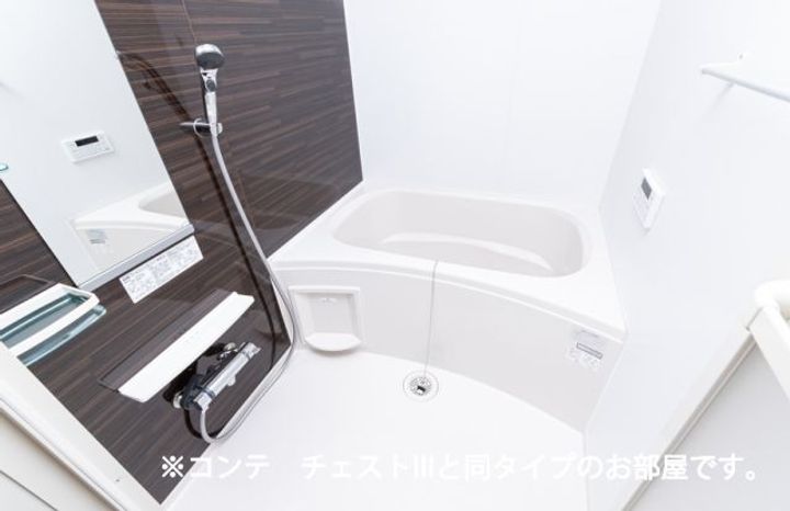 ラ ヴィーダ ヌエバの風呂