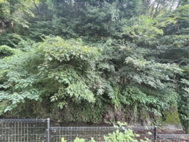 レオパレス枚岡ヒルズのその他画像