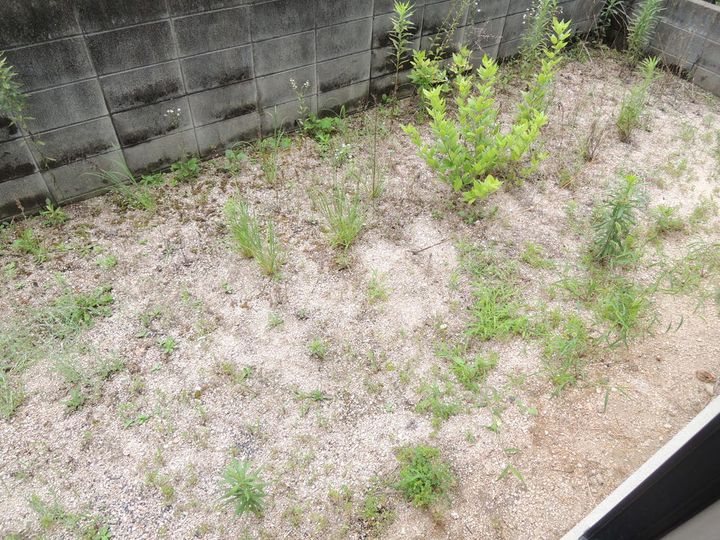 岡山県岡山市南区浜野3(アパート)の賃貸物件の内装