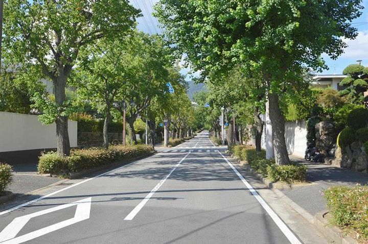ライフイン芦屋のその他画像