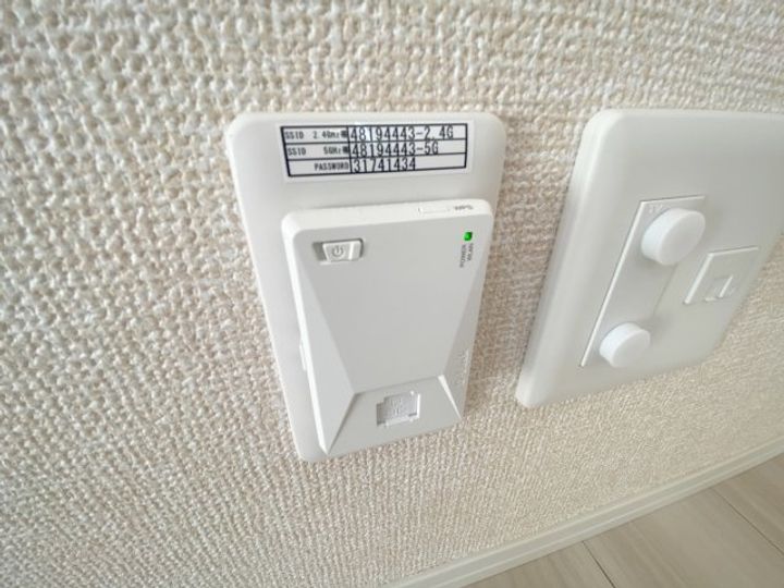 アン ロシェのその他画像
