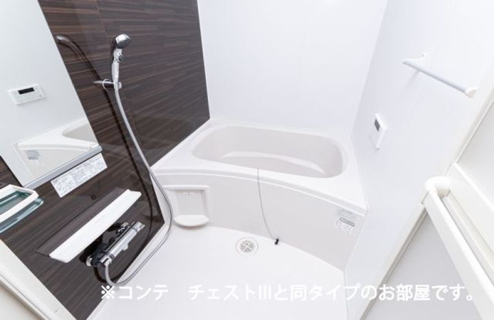 ラ ヴィーダ ヌエバの風呂