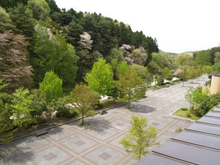 宮城県仙台市青葉区双葉ケ丘1(一戸建)の賃貸物件の周辺