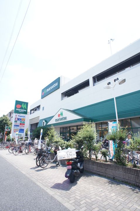 サイプレスの周辺