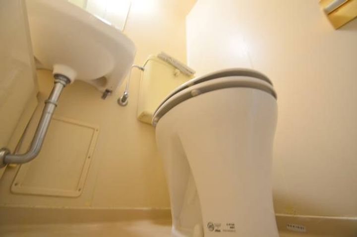 広島県広島市西区三篠町1(マンション)の賃貸物件の内装