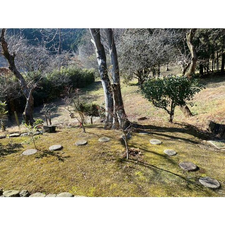 神奈川県伊勢原市大山(一戸建)の賃貸物件のその他画像