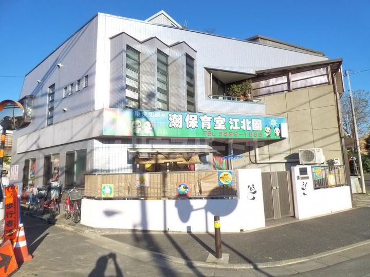 Tubaki Corpoの周辺