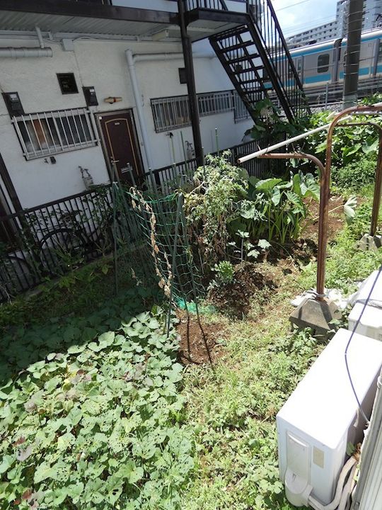 第一光陽ハイツのその他画像