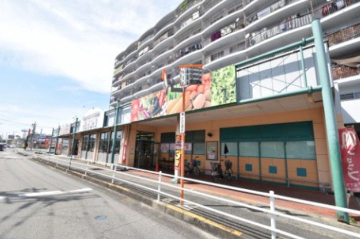 大阪府高石市取石3(一戸建)の賃貸物件の周辺