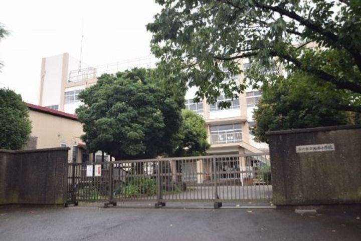 パインサークルの周辺