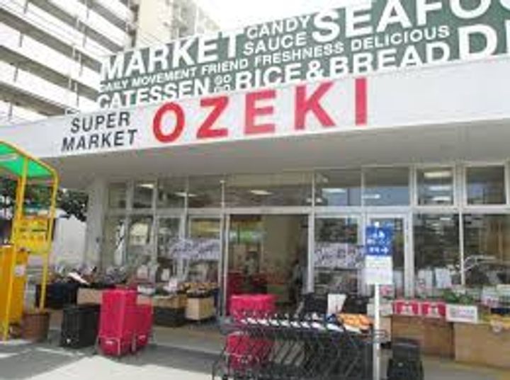 東京都大田区大森北4(マンション)の賃貸物件の周辺