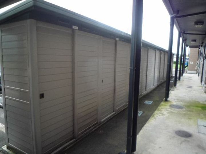 ヴィオラSIN Bのその他画像