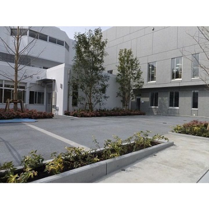 ハウスタクの周辺